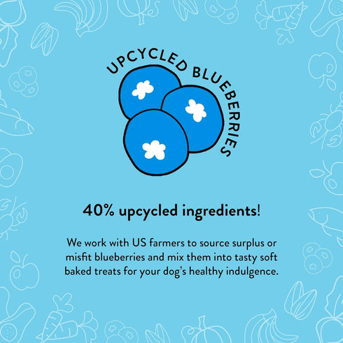 Shameless Pets Soft-Baked Dog Treats, Blueberried Treasure - Healthy Chews with Mint for Immune Support, 1-Pack, Made