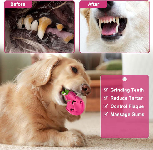 AUSCAT Dog Treat Dispensing Toys - Indestructible Puzzle Toy for Aggressive Chewers, Rubber Dog Treat Dispenser in