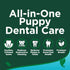 3.5 oz Vet's Best Dog Toothpaste & Toothbrush Kit for Puppies Puppy Essentials Dog Toothbrush & Toothpaste for Young