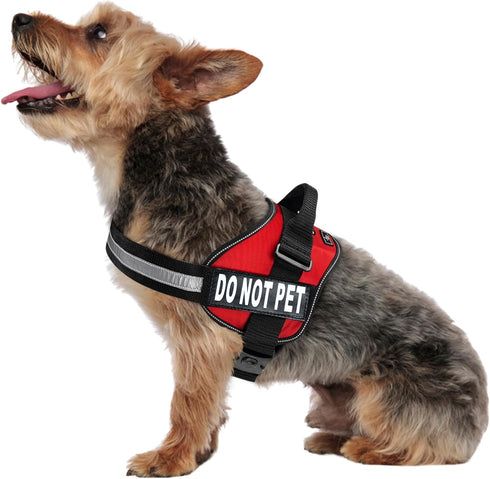 Doggie Stylz Dog Harness with DO NOT PET Patches – No Pull Service Dog Vest, Adjustable, Reflective, Heavy-Duty