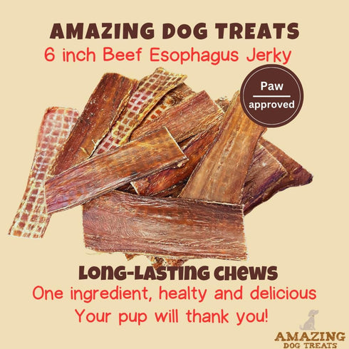 Amazing Dog Treats, Beef Esophagus Jerky for Dogs, 6 Inch - 50 Pc/Pack, Beef Gullet Chews