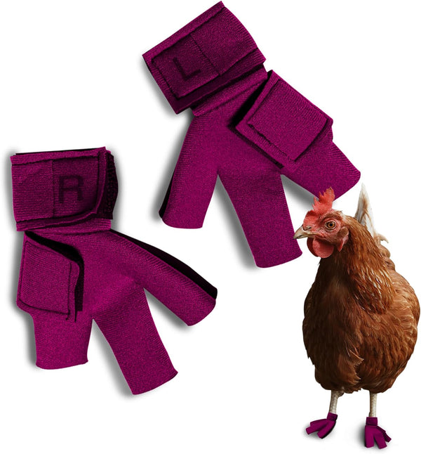 Chicken Shoes for Injured Feet Protective Neoprene Footwear for Chicken, Open-Toe Design