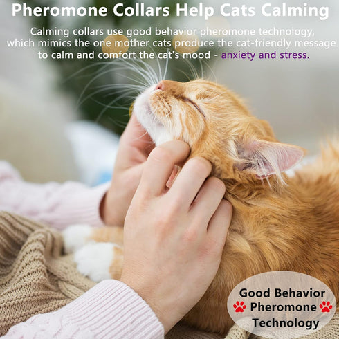 Wustentre 3 Pack Adjustable Anxiety Collar, Cat Calming Pheromones for Cats & Kittens, Relaxing Comfortable Collar
