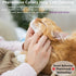 Wustentre 3 Pack Adjustable Anxiety Collar, Cat Calming Pheromones for Cats & Kittens, Relaxing Comfortable Collar