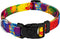 Country Brook Petz Deluxe Paint Splatter Dog Collar - Made in The U.S.A., Groovy Collection (1 Inch, Large)