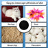 6 Pack Sponge Filter for Neabot & Neakasa P1 Pro Pet Grooming Kit & Vacuum