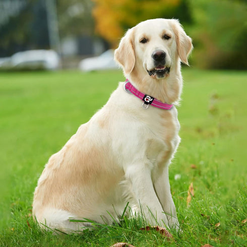 Azuza Soft Neoprene Padded Reflective Dog Collar with ID Tag Ring, Adjustable for Large Dogs, Hot Pink, L