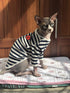 DENTRUN Breathable Hairless Cats Shirt, Adorable Stripe Vest Pajamas Jumpsuit, Soft & Skin-Friendly Daily Wear