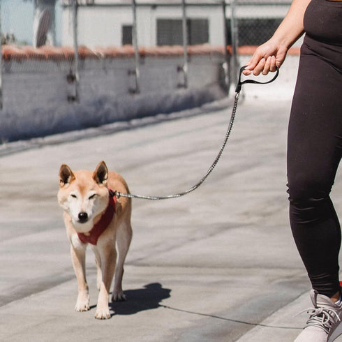 Heavy Duty Metal Dog Leash - 5FTx3mm Chew Proof Chain with Soft Padded Handle for Large & Medium Dogs