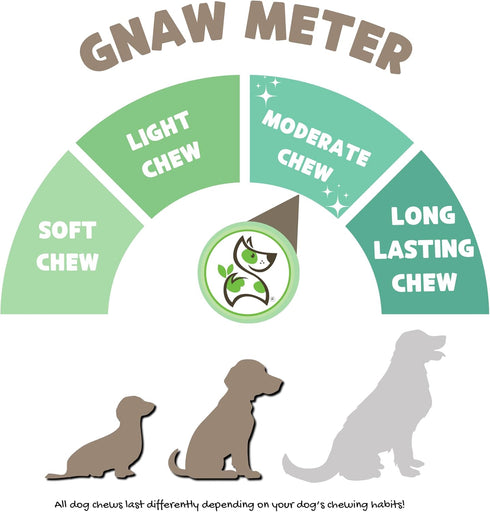Nature Gnaws Pork Bully Stick Pretzels for Dogs - 4-5" (15 Count) - Natural Bacon Chew Treats