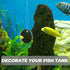 POPETPOP Betta Exercise Mirror Set, Double Sided Circle with Floating Ball for Fish Tank