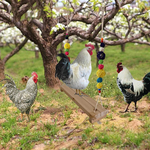 Vehomy Chicken Swing and Perch - Handmade Wood Stand Coop Toy for Hens - Accessories Ladder for Poultry Run - Large