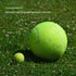 Big Tennis Ball for Dogs, 9.5" Inflatable Giant Tennis Ball, Large Pet Toy for Outdoor/Indoor Sports, Funny Gift