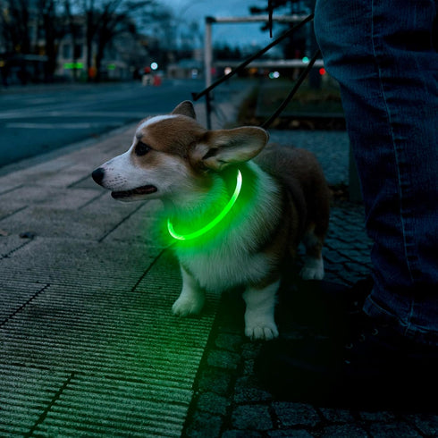 Flashseen LED Dog Collar, USB Rechargeable Glowing Lighted Collar, Cuttable Water-Resistant TPU Safety Collar