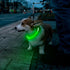 Flashseen LED Dog Collar, USB Rechargeable Glowing Lighted Collar, Cuttable Water-Resistant TPU Safety Collar