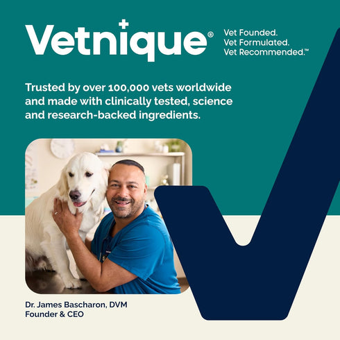 16oz) Vetnique Dermabliss Advanced Vet Strength Chlorhexidine for Dogs - Antibacterial Medicated Dog Shampoo - for Skin
