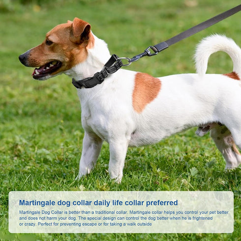 Reflective Martingale Dog Collar with Quick Release Buckle, Adjustable Soft Padded Nylon Collar for Small Medium Large