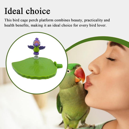 Generic Macaws,Sparrow,Parakeet,Lovebird,Conures,Cockatiels,Finches Bird Perch Toy | Cactus Design Chew-Resistant Bird