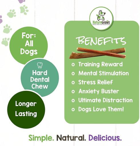 Nature Gnaws Bully Sticks for Dogs, 5-6" (1Lb) - Mixed Thickness, Long Lasting Natural Beef Chew Bones for Aggressive