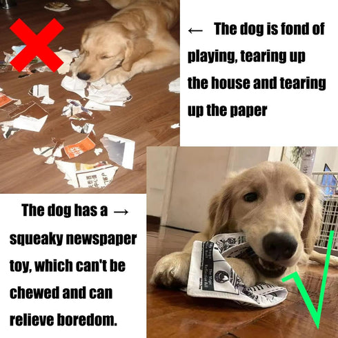 2 PCS Plastic Creaks Squeaky Newspaper Crinkle Pet Dog Chew Toys, Fun Interactive Tug of War Dog Chew Pet Toy, Washable Bite-Resistant Pet Toys for Puppy Small Dog Poodle Teddy