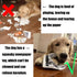 2 PCS Plastic Creaks Squeaky Newspaper Crinkle Pet Dog Chew Toys, Fun Interactive Tug of War Dog Chew Pet Toy, Washable Bite-Resistant Pet Toys for Puppy Small Dog Poodle Teddy