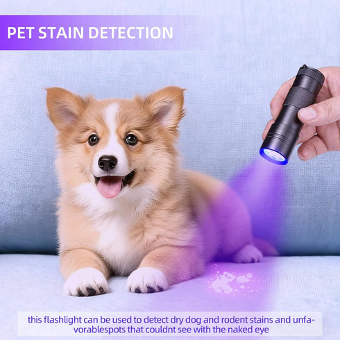 12 UV Flashlight Black LightSmall Portable Mini LED Blacklight Flashlight for Hidden Stain Detection in Room, Resin