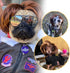 Pet Costume Dog Wig with Collar & Tie Apparel for Halloween, Christmas, Parties (Dark Brown)