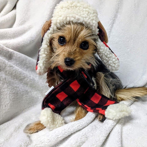 Huxley & Kent Pet Hat | Antler Buffalo Check (Medium) | Holiday Accessory for Dogs/Cats | Festive Christmas Pet Hat |