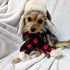 Huxley & Kent Pet Hat | Antler Buffalo Check (Medium) | Holiday Accessory for Dogs/Cats | Festive Christmas Pet Hat |