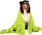 Extra Large Dog Towels, Super Absorbent Soft Microfiber Pet Bath Grooming Towel for Dogs and Cats (XL-55" * 36", Green)