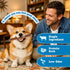 6 Inch (12 Pack) 100% Jack&Pup Thick Bully Sticks for Dogs Bully Stick Dog Chews, Single Ingredient Beef Bully Sticks