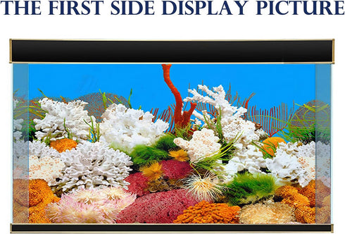 New 23" x 71" Fish Tank Background, 2 Sided River Bed & Lake Design