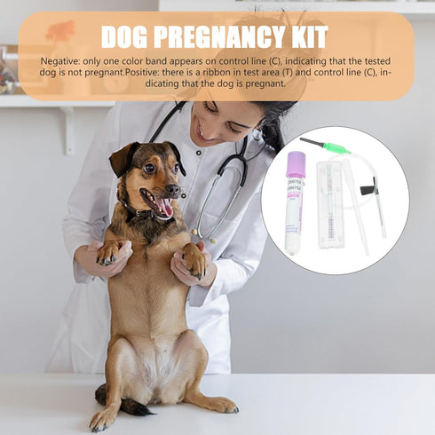 Dog Pregnancy Kit, 1 Set Fast and Accurate Detection Early Pregnancy Test Kit for Dogs and Cats