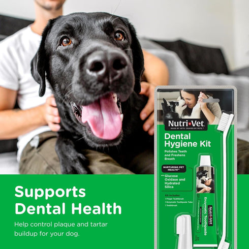 2.5 Nutri-Vet Dental Hygiene Kit for Dogs - Finger Toothbrush and Enzymatic Toothpaste - Chicken Flavor - ounces
