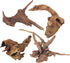 PINVNBY Natural Driftwood for Aquarium Fish Tank Decorations, Assorted Branches, 4 Pack