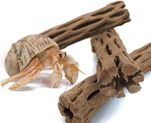 SunGrow 3 Pcs Hermit Crab Woods Climbing Logs & Chews, Long Dried Aquarium Décor Keeps Hermies Active