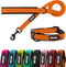 azuza Durable Padded Dog Leash and Collar Set - Reflective Strip for Large Dogs, Extra Safe and Comfy, Orange