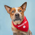 Service Dog Bandana (Red, OS 307) GB