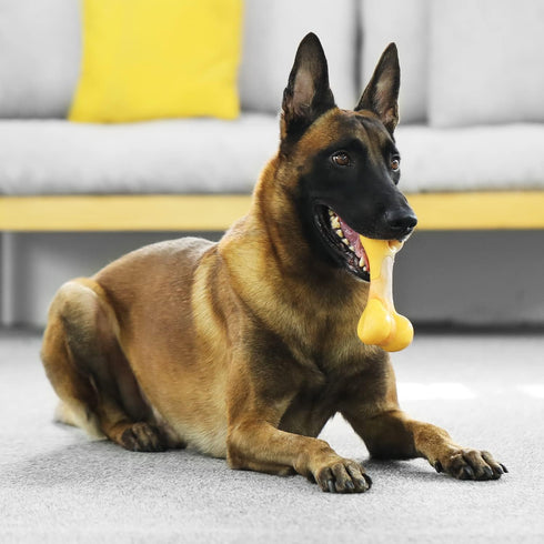 Tikaton Dog Chew Toys for Aggressive Chewers, Chicken Flavor Durable Teething Bones for All Sizes