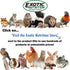 4 lb. Chinchillas Exotic Nutrition Whole Oats - Healthy Supplemental Food - Natural Whole Oats for Prairie Dogs, Degus