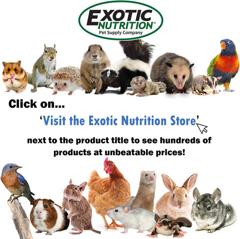 Marmosets, Nectar Pods (Pineapple) - Calcium-Fortified Jelly Fruit Treat - Sugar Gliders, Squirrels, Parrots