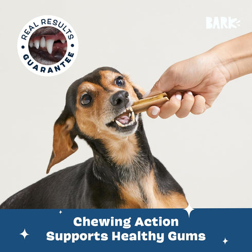 30 Barkbox Bright Original Dog Dental Kit, Teeth Cleaning Chew Sticks & Toothpaste - Small Breeds