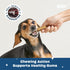 30 Barkbox Bright Original Dog Dental Kit, Teeth Cleaning Chew Sticks & Toothpaste - Small Breeds