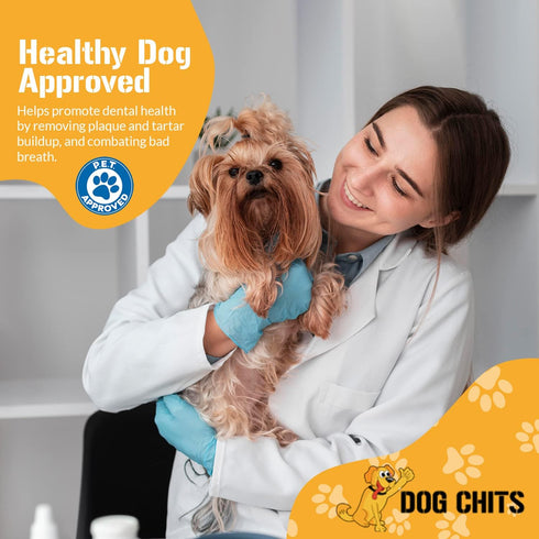 Dog Chits Beef Lung Prime Cuts Dog and Puppy Treats, All Natural, Grain and Chemical Free, 5 oz Bag