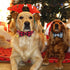 KUDES Plaid Dog Collar with Bow, 2 Pack/Set Adjustable Dog Bow Tie Collars with Bell, Best Pet Gift for Small Medium Large Girl and Boy Dogs, Red & Black