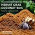 HEYPOMAX 100% 4bag) Hermit Crab Bedding with Humid Coconut Soil Natural, Soft & Safe, Ideal for Tanks and Terrariums