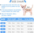 2 Pieces Dog Shirts for Small Dogs: Stripe Clothes for Spring Summer Chihuahua Yorkie - Soft Pet T-Shirt Extra Small
