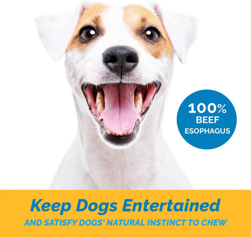 Esophagus Dog Treats (6 Inches - 25 Count), 100% Natural Gullet Sticks, Beef Jerky Strips, No Preservatives