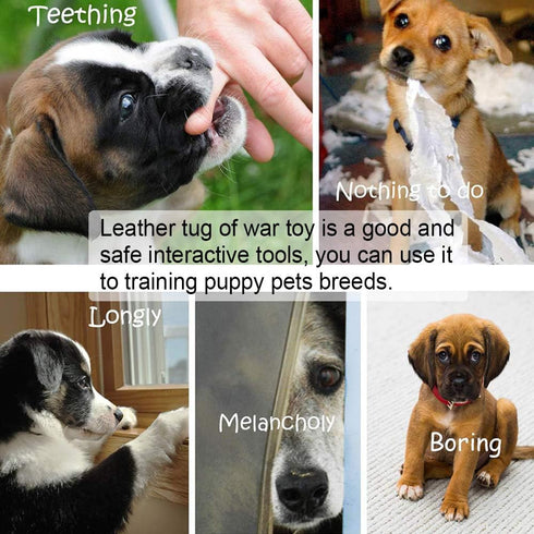 Storystore Leather Dog Tug Toy with Handle, Interactive Tug of War Toy for Small Medium Large Dogs, Grip Development