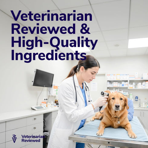 (16 oz) Miracle Vet Medicated Dog Shampoo for Itchy Skin Relief - Antifungal for Dog Allergy Relief, Yeast Infection